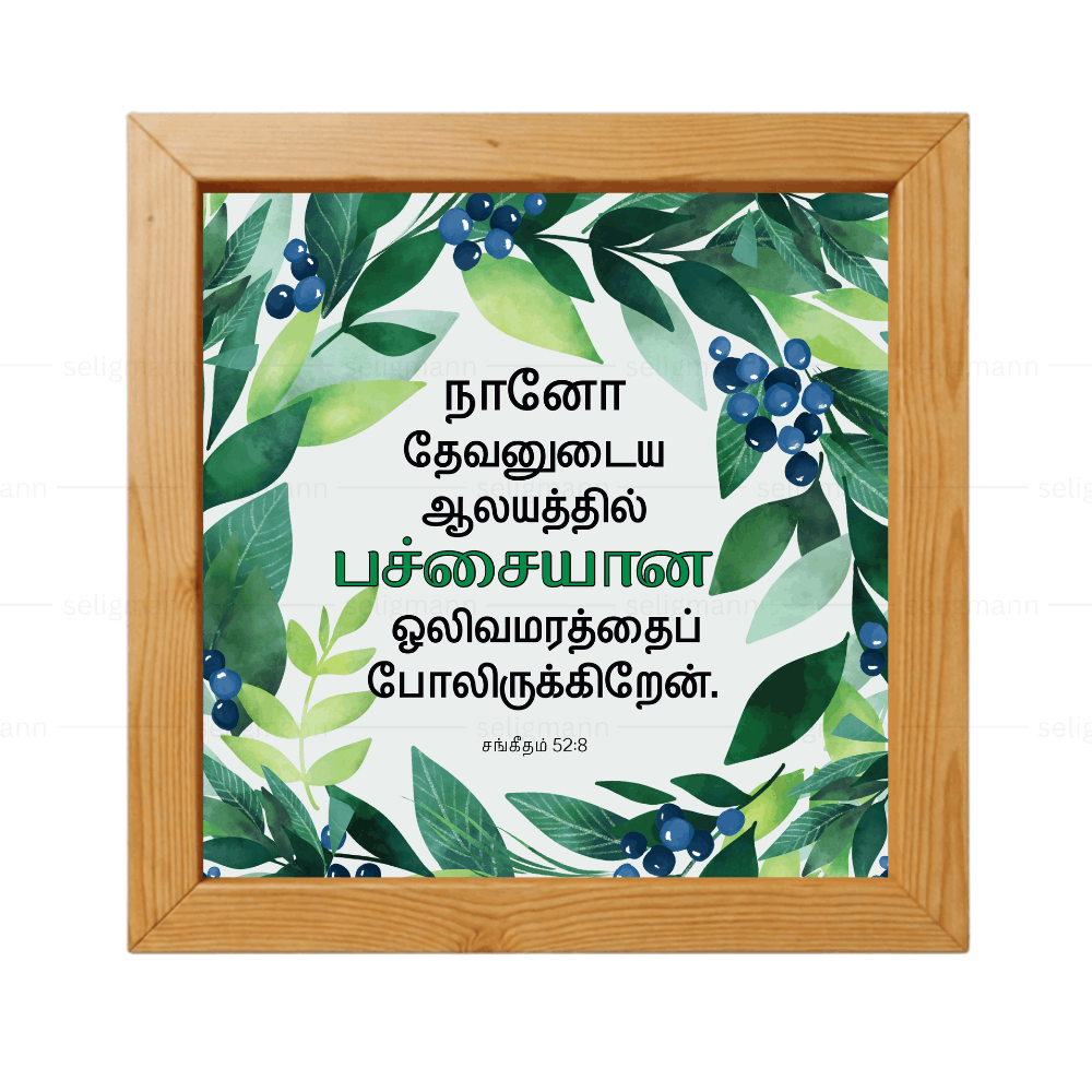 நானோ தேவனுடைய ஆலயத்தில் பச்சையான ஒலிவமரத்தைப் போலிருக்கிறேன் - Psalms 52:8- Tamil