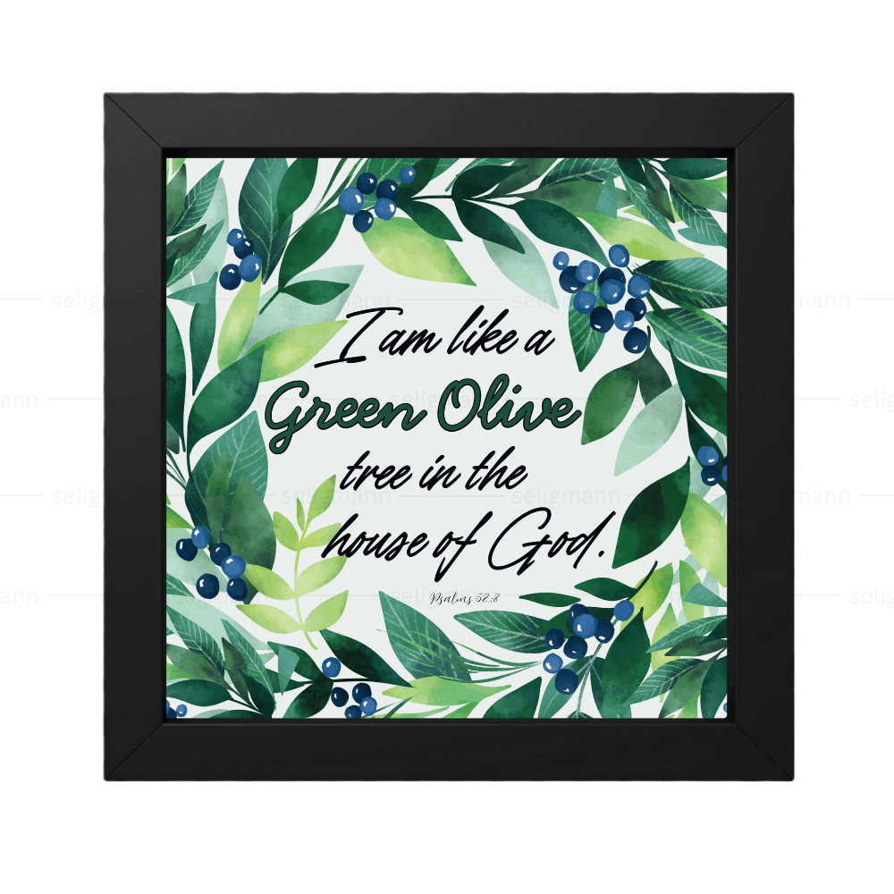 I Am Like a Green Olive Tree in the House of God - Psalms 52:8