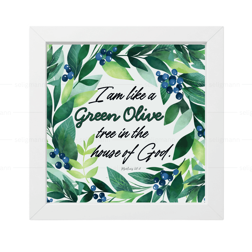 I Am Like a Green Olive Tree in the House of God - Psalms 52:8