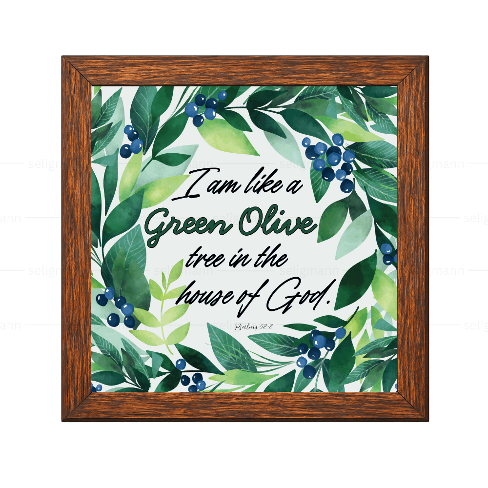 I Am Like a Green Olive Tree in the House of God - Psalms 52:8