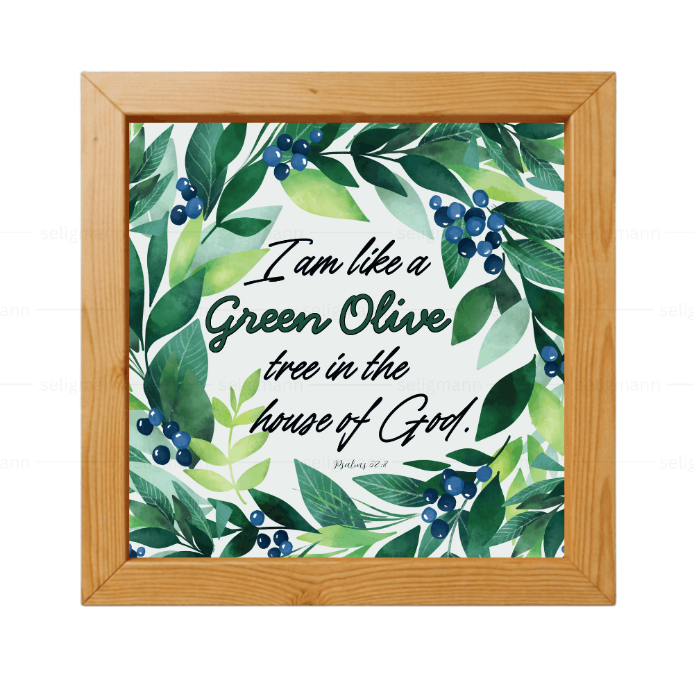 I Am Like a Green Olive Tree in the House of God - Psalms 52:8
