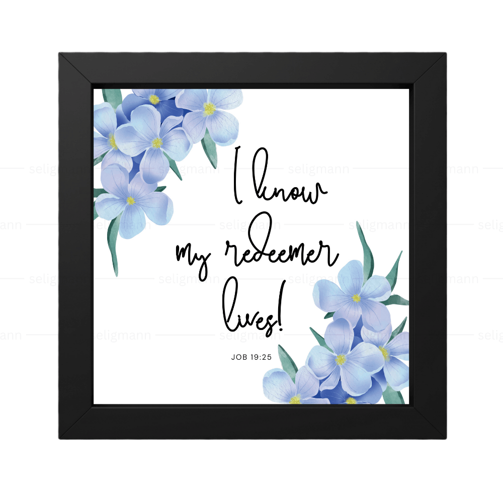 I Know My Redeemer Lives - Job 19:25