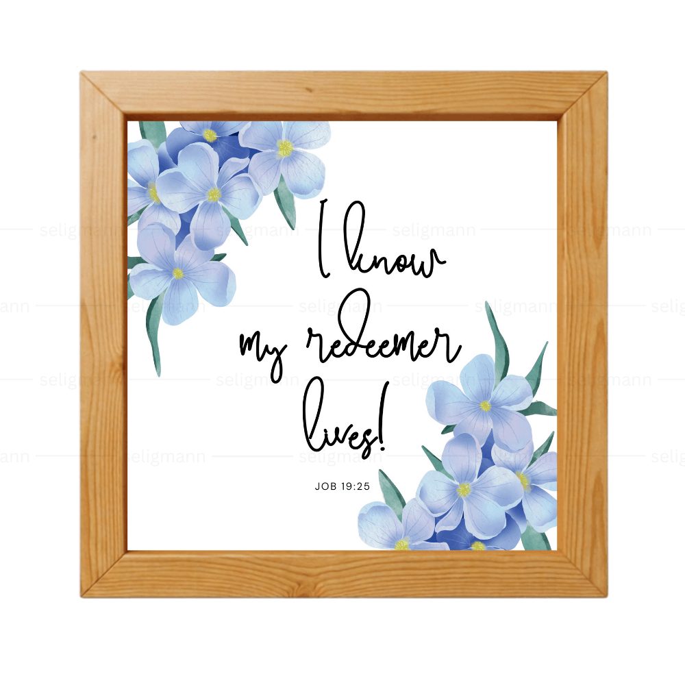 I Know My Redeemer Lives - Job 19:25