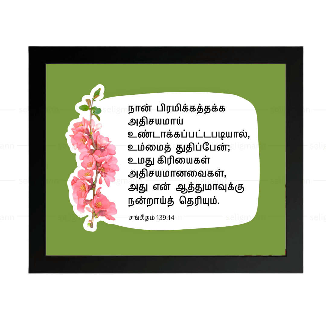 நான் பிரமிக்கத்தக்க அதிசயமாய் (Psalms 139:14) Tamil