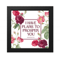 I Have Plans to Prosper You - Jeremiah 29:11