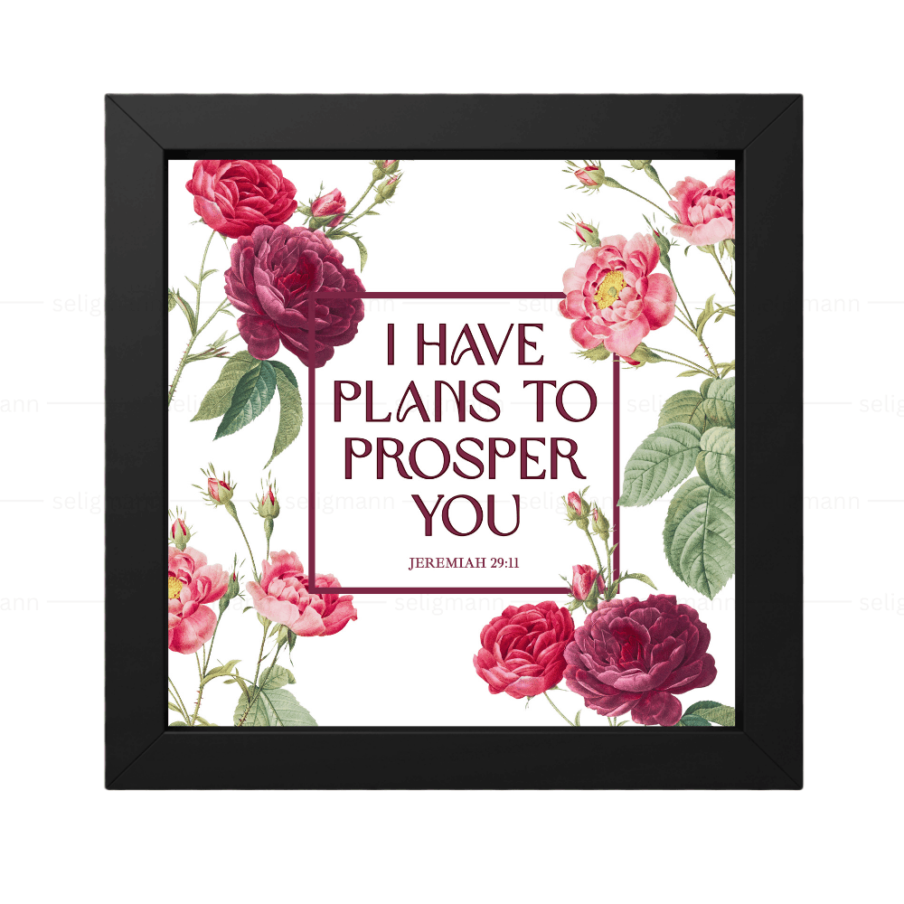 I Have Plans to Prosper You - Jeremiah 29:11