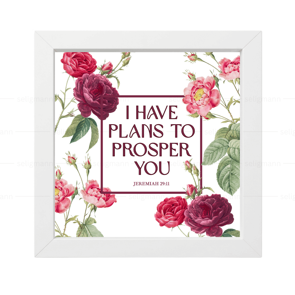 I Have Plans to Prosper You - Jeremiah 29:11