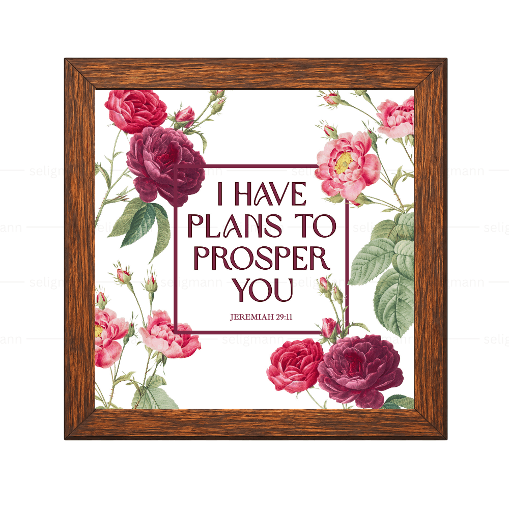 I Have Plans to Prosper You - Jeremiah 29:11