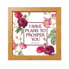 I Have Plans to Prosper You - Jeremiah 29:11