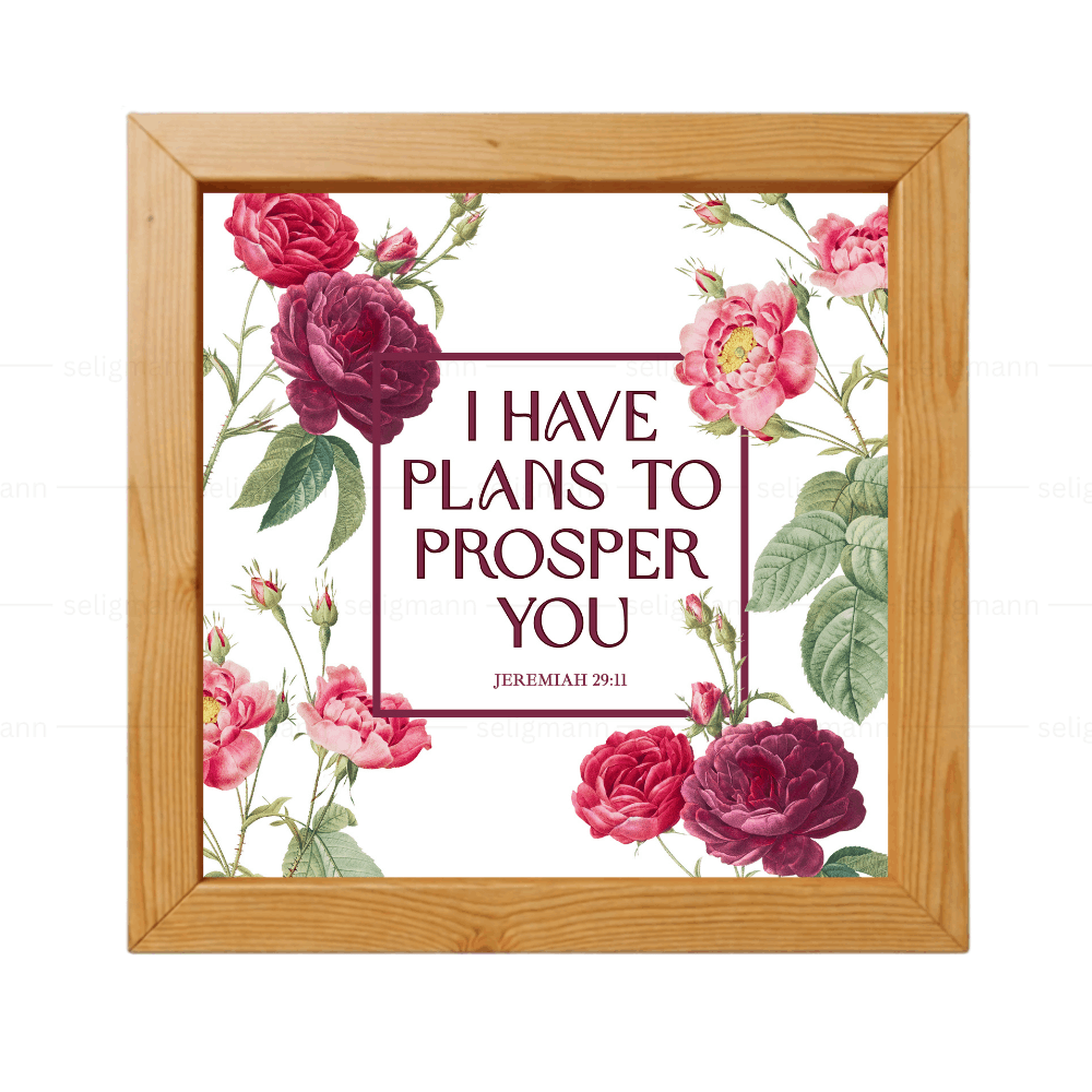 I Have Plans to Prosper You - Jeremiah 29:11