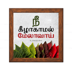 நீ கீழாகாமல் மேலாவாய் - Deuteronomy 28:14 - Tamil