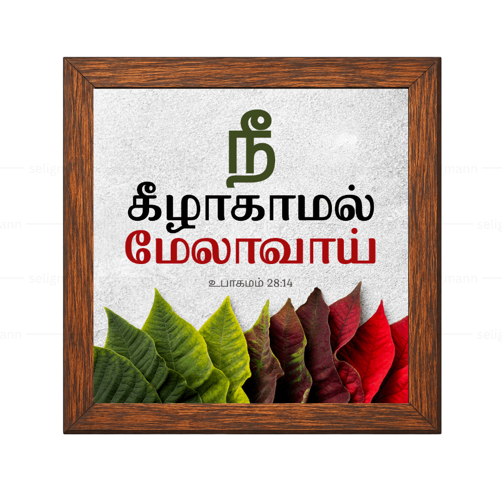 நீ கீழாகாமல் மேலாவாய் - Deuteronomy 28:14 - Tamil