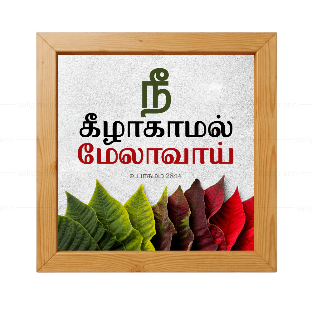 நீ கீழாகாமல் மேலாவாய் - Deuteronomy 28:14 - Tamil