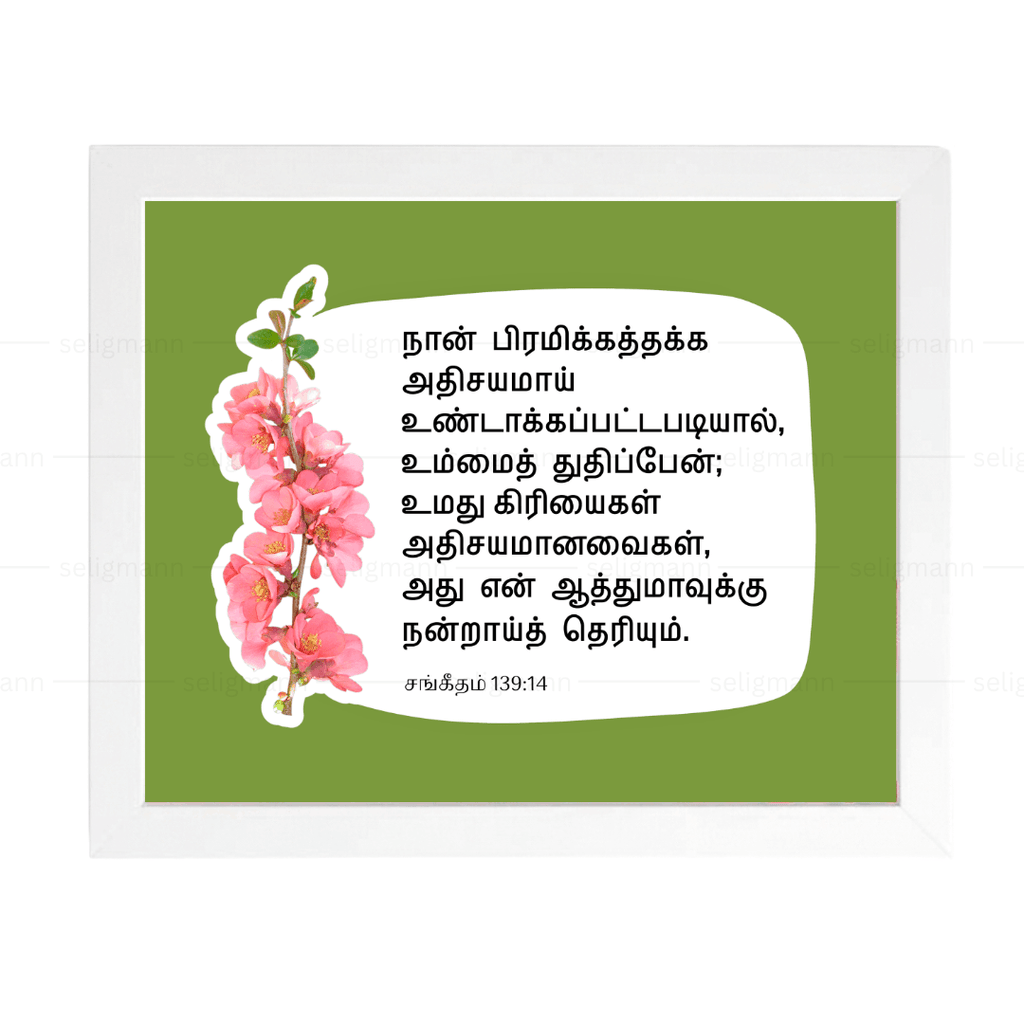 நான் பிரமிக்கத்தக்க அதிசயமாய் (Psalms 139:14) Tamil