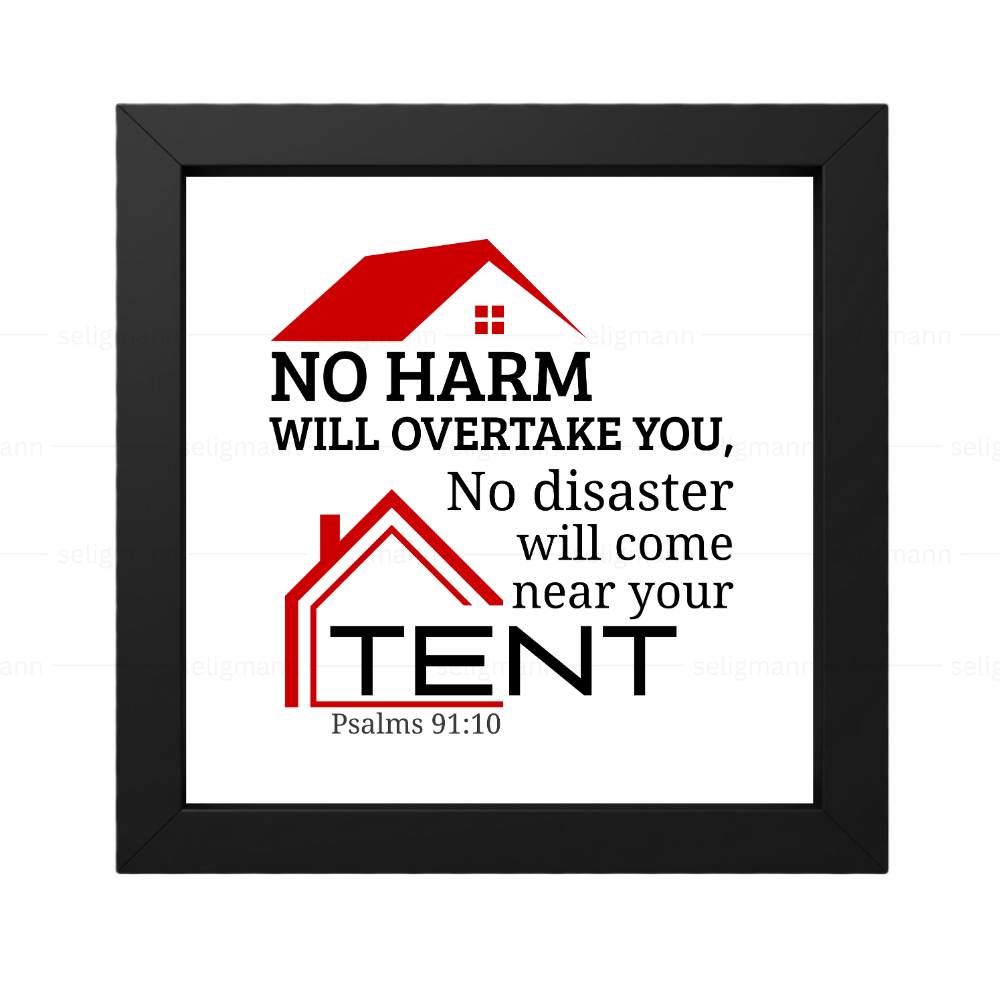 No Harm No Disaster Will Come..(Psalms 91:10) (NIV)