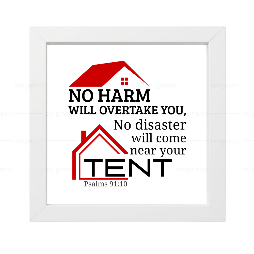 No Harm No Disaster Will Come..(Psalms 91:10) (NIV)