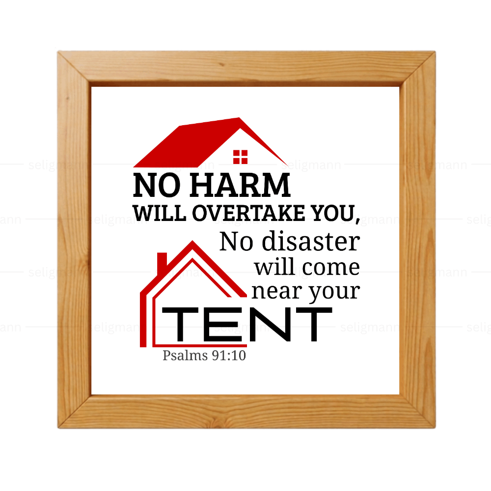 No Harm No Disaster Will Come..(Psalms 91:10) (NIV)