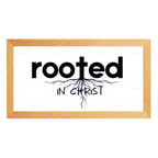 Rooted in Christ - Colossians 2:7