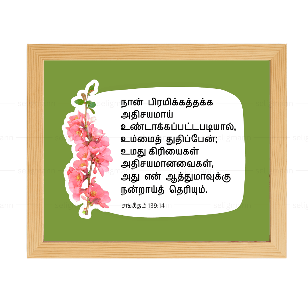 நான் பிரமிக்கத்தக்க அதிசயமாய் (Psalms 139:14) Tamil