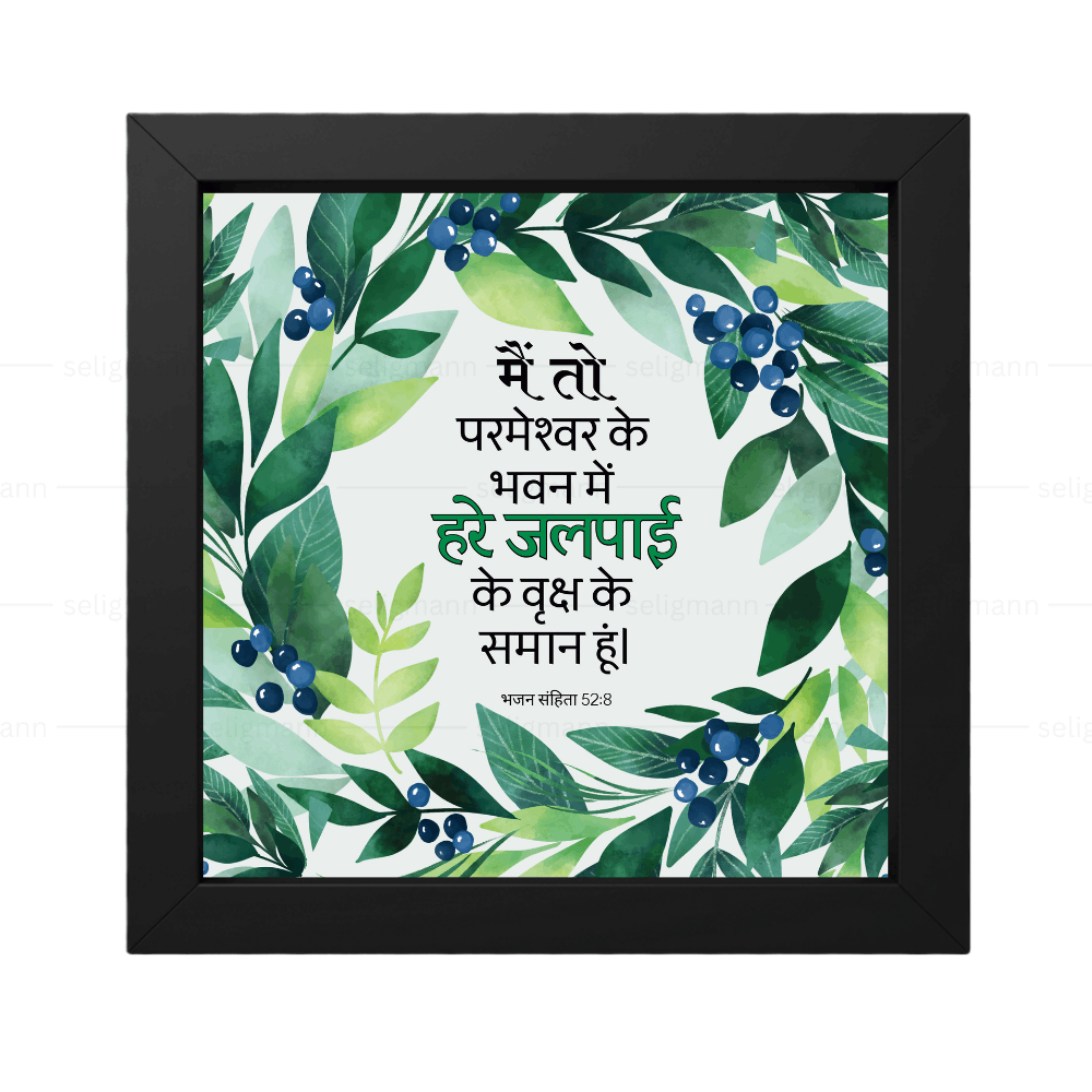 मैं तो परमेश्वर के भवन में हरे जलपाई के वृक्ष के समान हूं  - Psalms 52:8 - Hindi