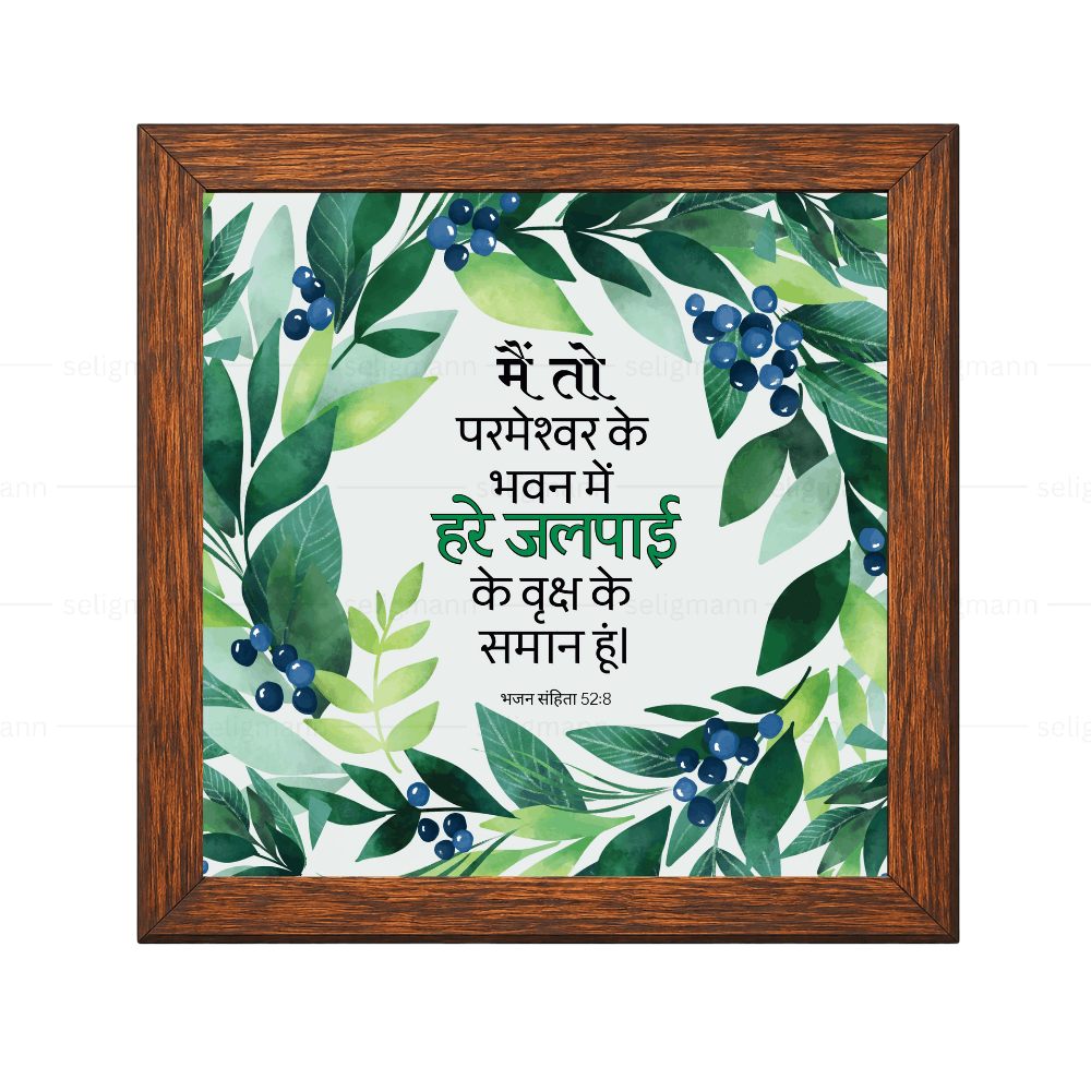 मैं तो परमेश्वर के भवन में हरे जलपाई के वृक्ष के समान हूं  - Psalms 52:8 - Hindi