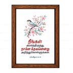 நீங்கள் அமர்ந்திருந்து, நானே தேவனென்று அறிந்துகொள்ளுங்கள் (Psalms 46:10) Tamil