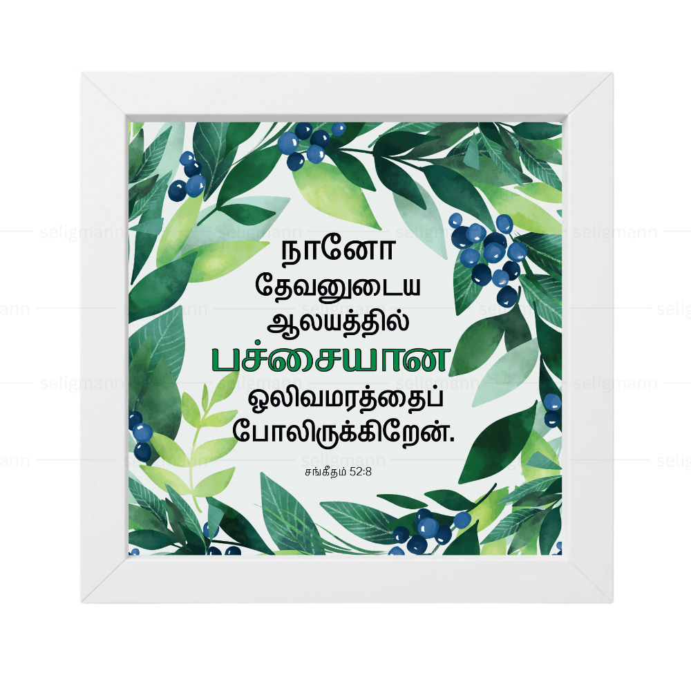 நானோ தேவனுடைய ஆலயத்தில் பச்சையான ஒலிவமரத்தைப் போலிருக்கிறேன் - Psalms 52:8- Tamil