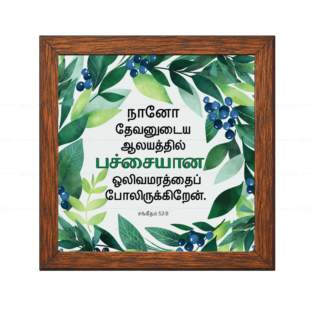 நானோ தேவனுடைய ஆலயத்தில் பச்சையான ஒலிவமரத்தைப் போலிருக்கிறேன் - Psalms 52:8- Tamil