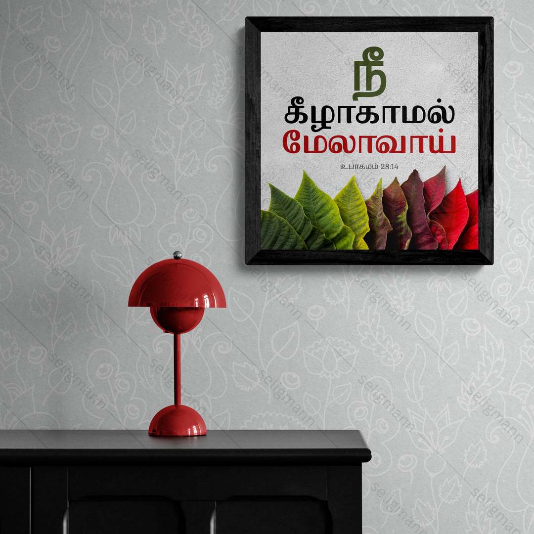 நீ கீழாகாமல் மேலாவாய் - Deuteronomy 28:14 - Tamil