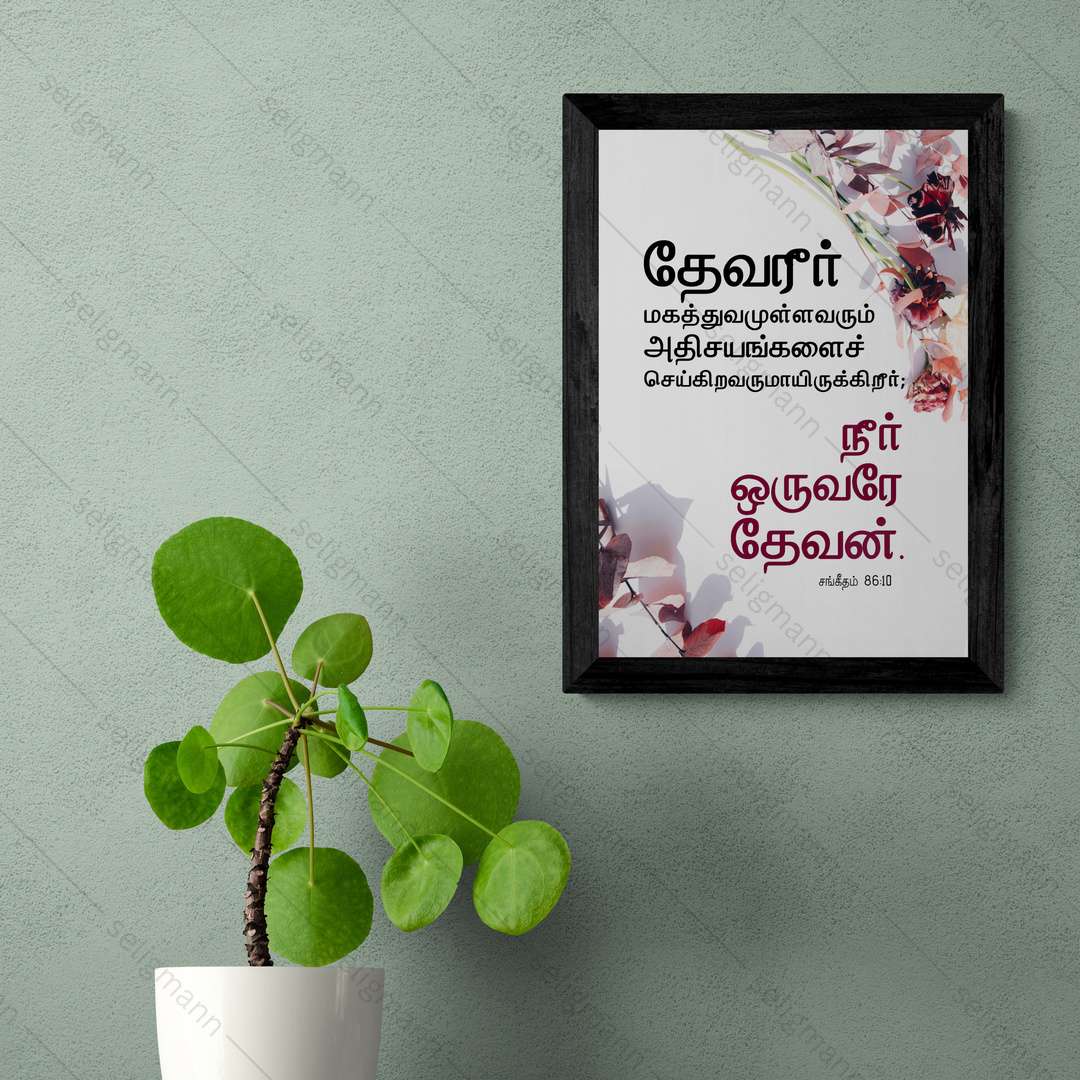 தேவன் மகத்துவமுள்ளவரும் அதிசயங்களைச் செய்கிறவருமாயிருக்கிறார் - நீர் ஒருவரே தேவன் (Psalm 86:10) Tamil